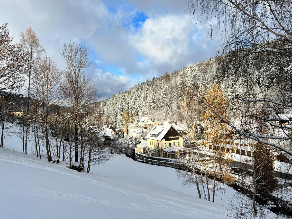 Urige Berghuette Mit Kamin Und Sauna Im Erzgebirge Nahe Schwarzwassertal Pobershau Dış mekan fotoğraf