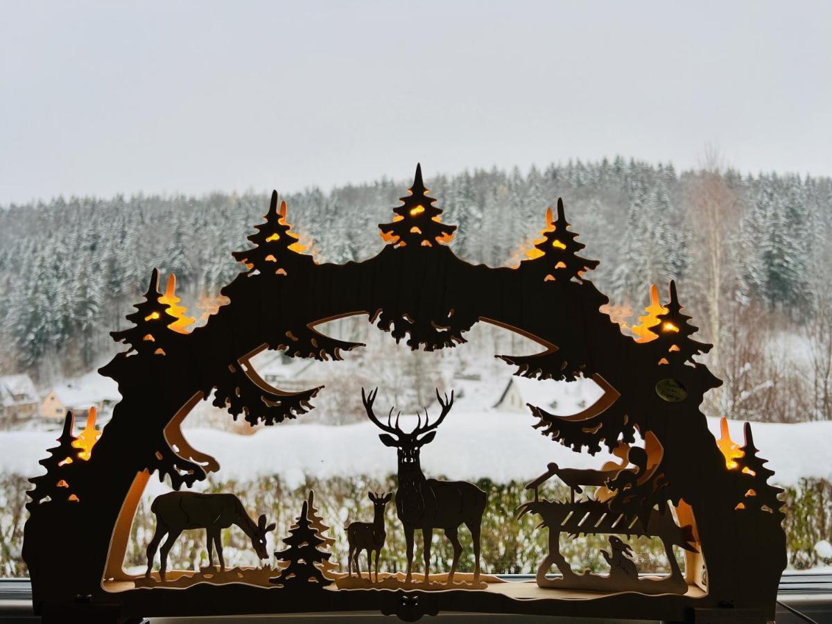 Urige Berghuette Mit Kamin Und Sauna Im Erzgebirge Nahe Schwarzwassertal Pobershau Dış mekan fotoğraf